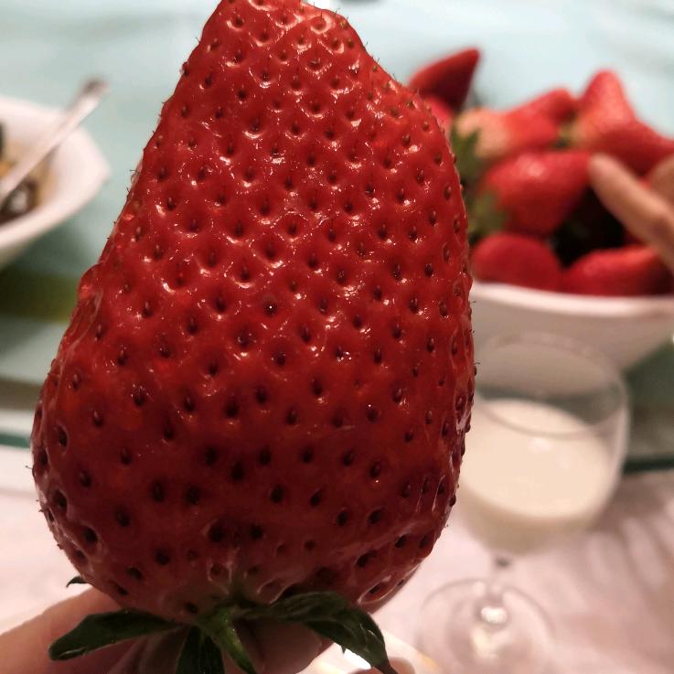 莃望，（卟破灭