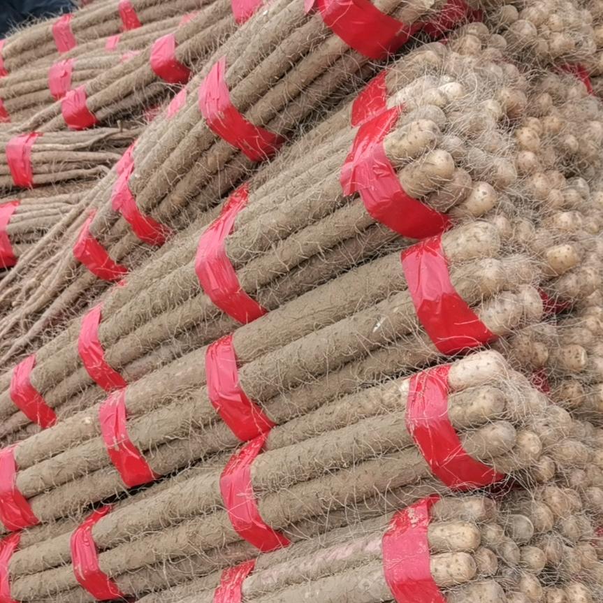 单县帅庆家庭农场