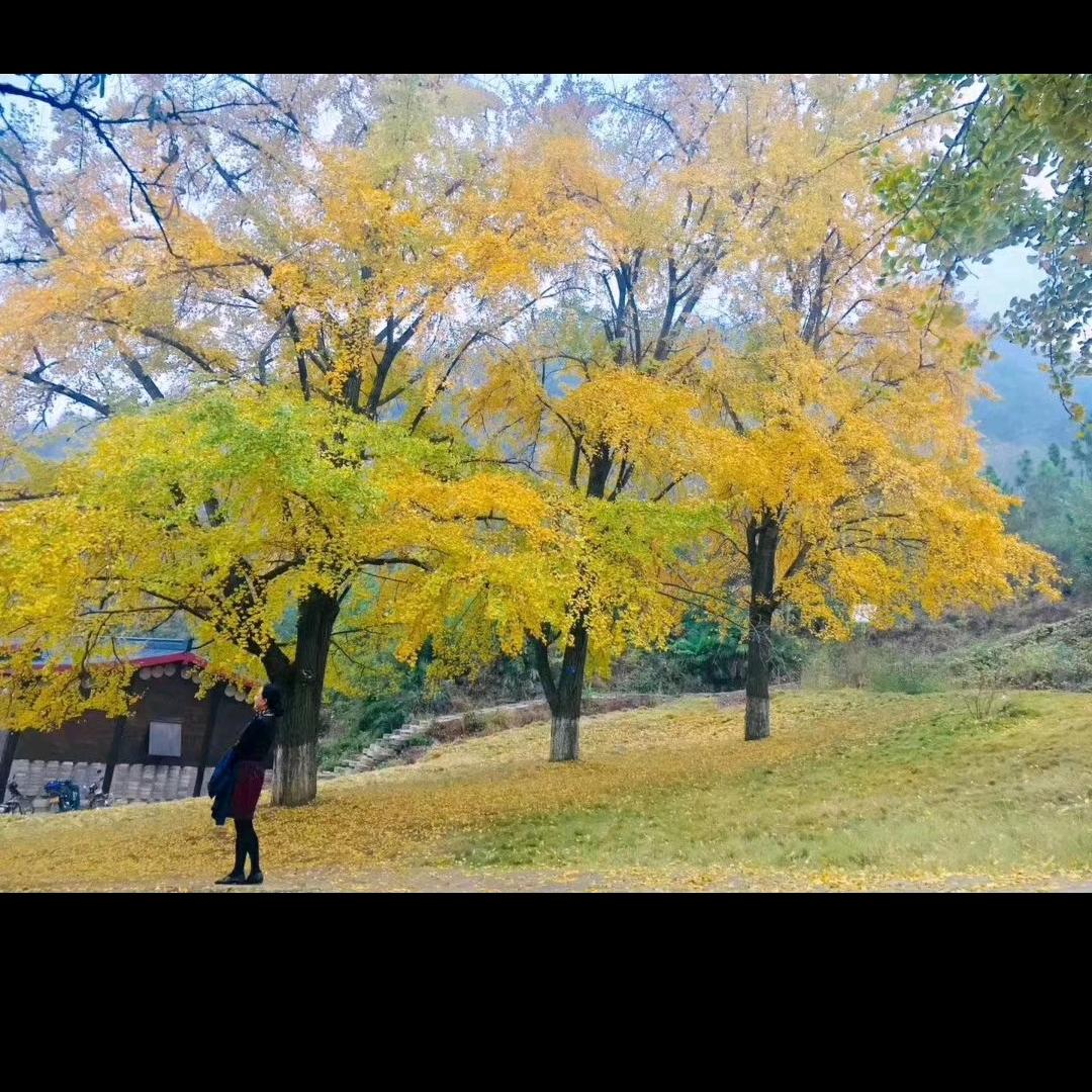 心安勿忘！