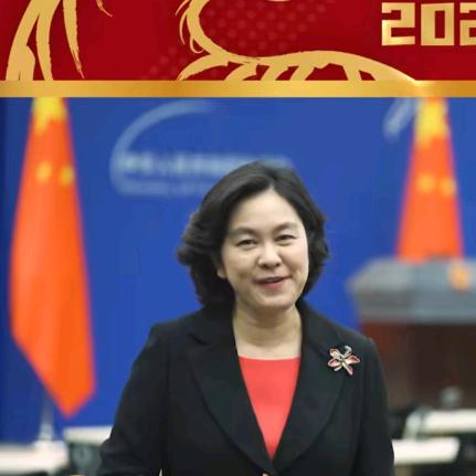 最美外交女神
