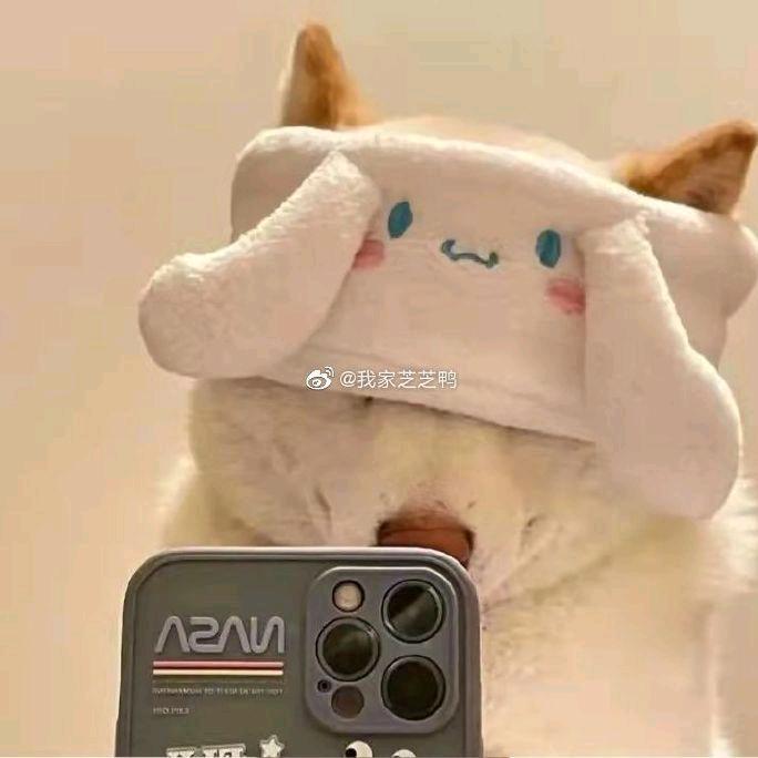 安❤️暖
