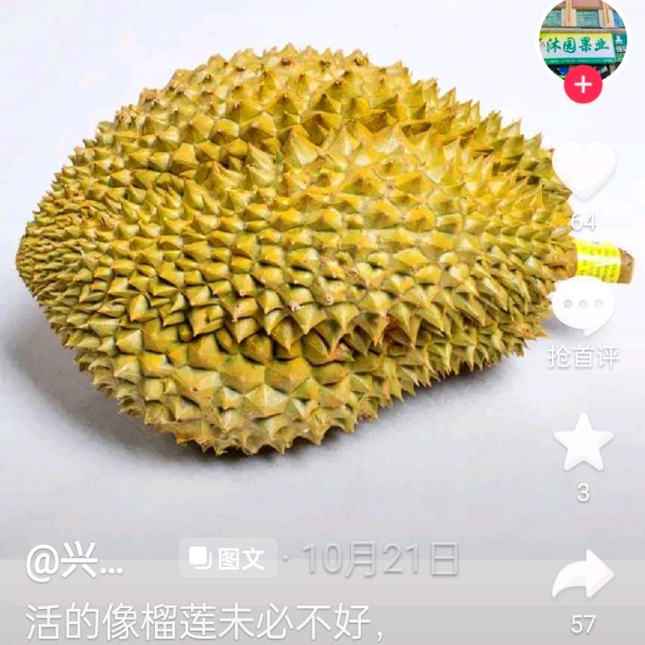 榴莲果
