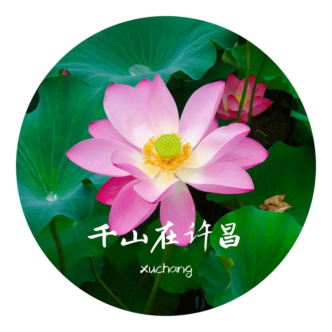 千山在许昌