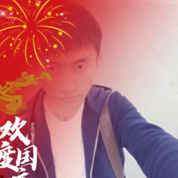 Yang 帆起航