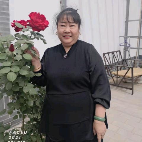 杨杨
