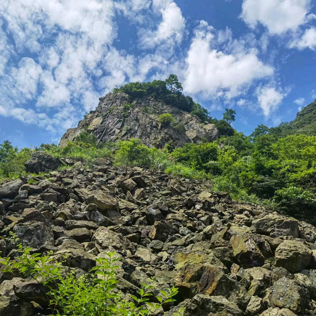 芳芳丫（关茈回）