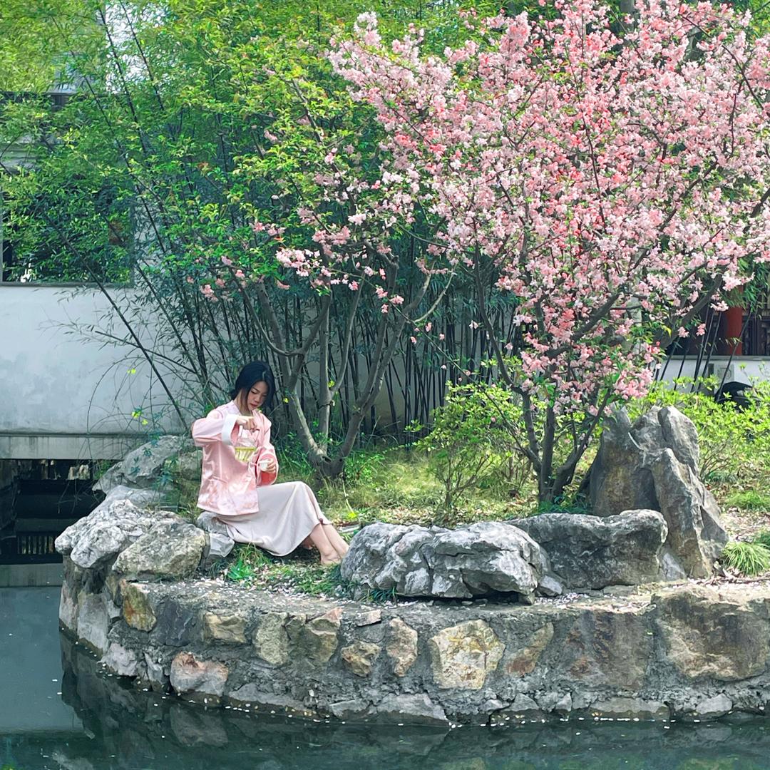 茶小姐
