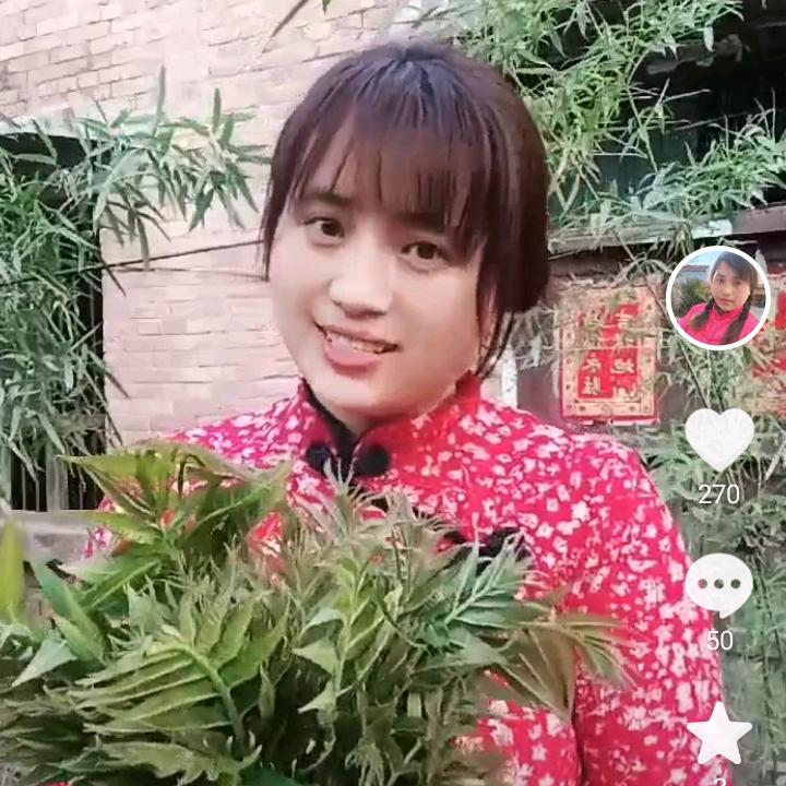 乡里桐花