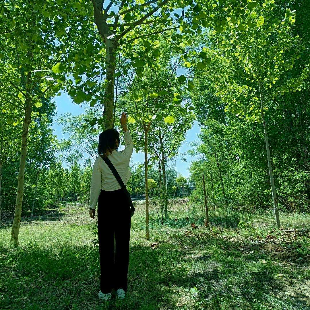 🌹众泰韩明天更美好