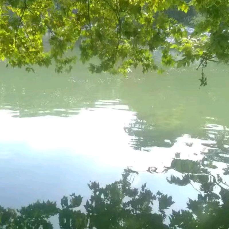 推窗扑面