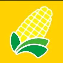 🌽玉米汁（五河店）张立猛