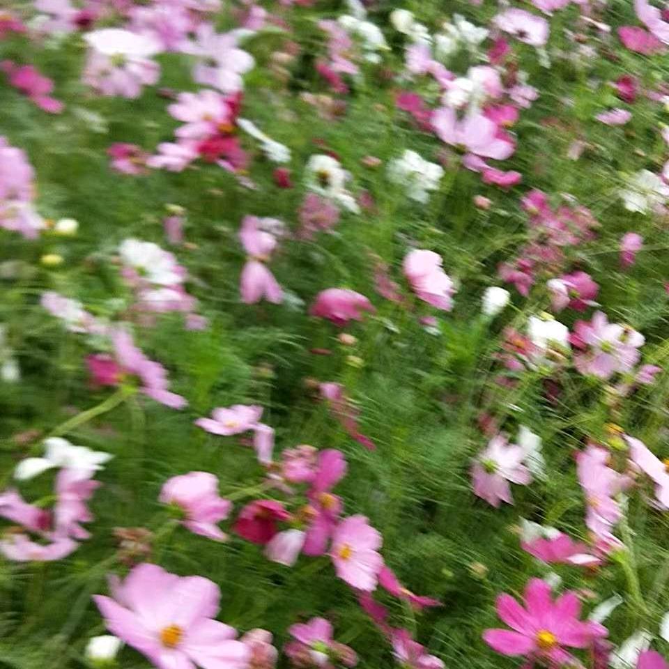 有你真好。