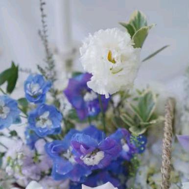 用户7422514829389山妹子