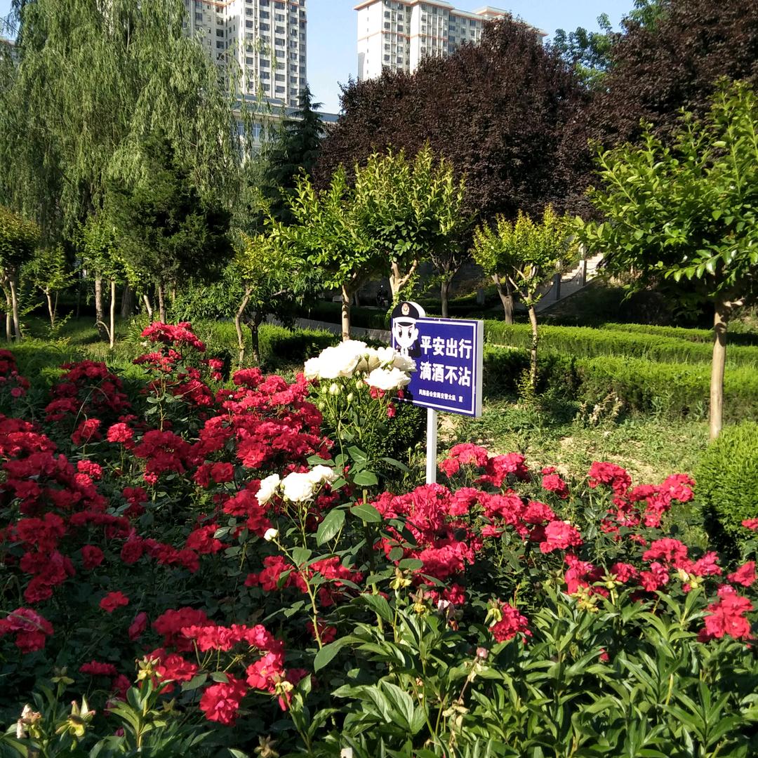 大民