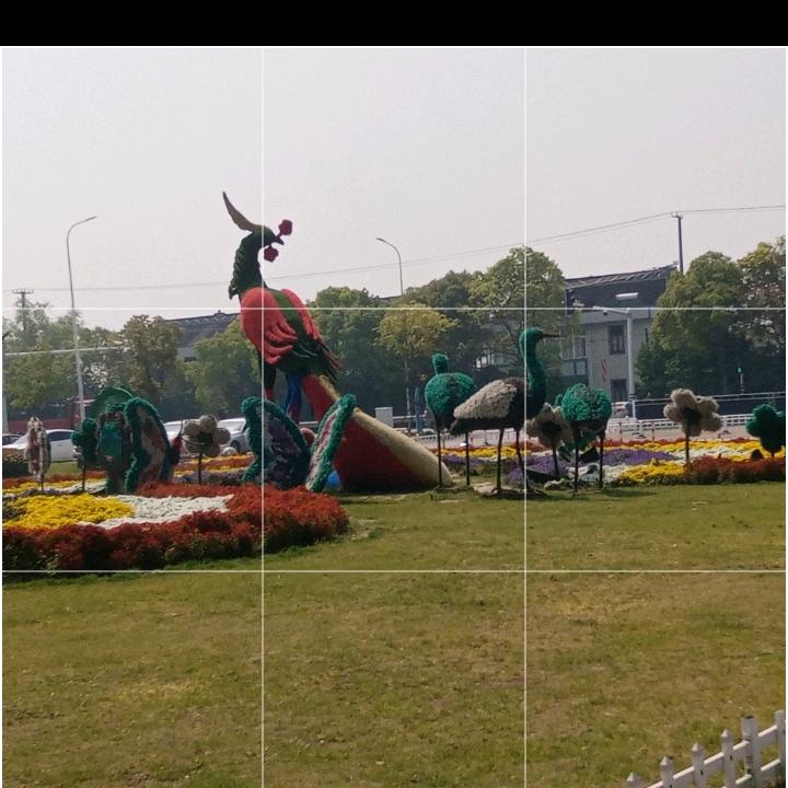 🌈🎡明天会更好🌈🎡