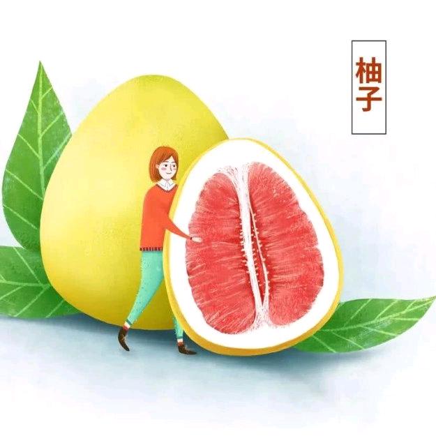 西北柚子哥