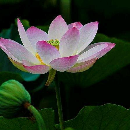 一方净土💅（针织课饰品）F