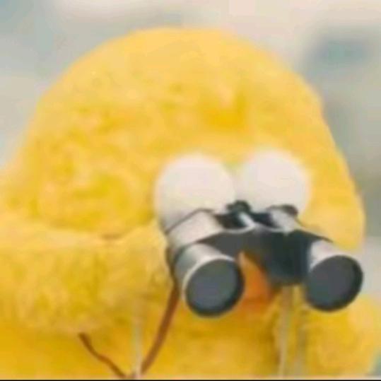 什么芝士蛋糕✔