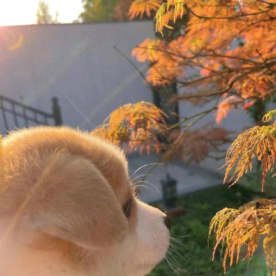 哲涵🇨🇳