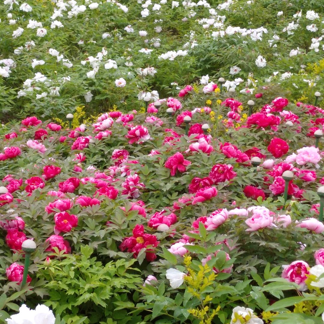 用户1534913271366知足常乐