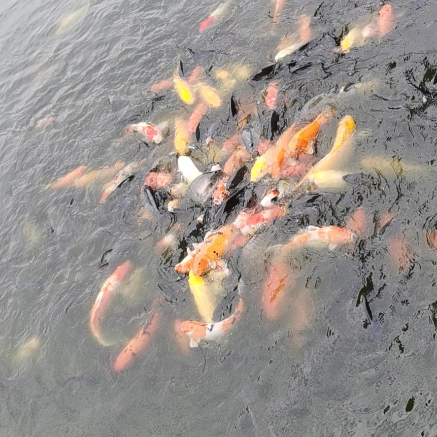 水印