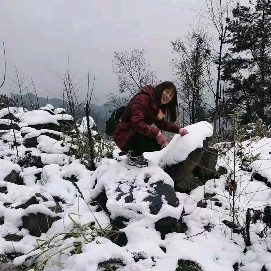 天天开心(✪▽✪)