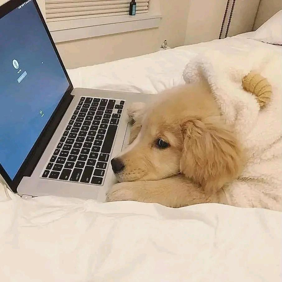 時雨禁
