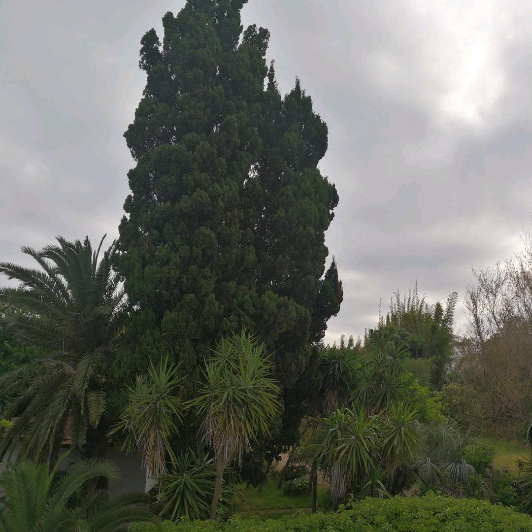 陕西富平人在孟加拉