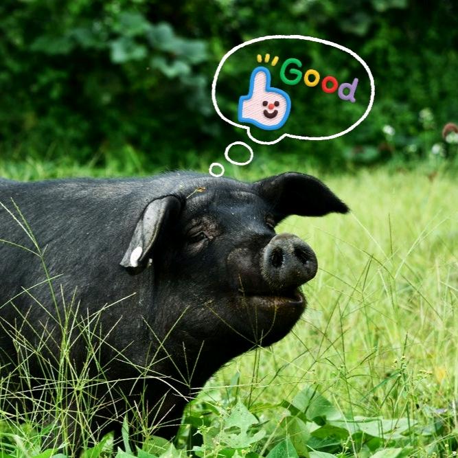 青龙扬德黑土猪小店