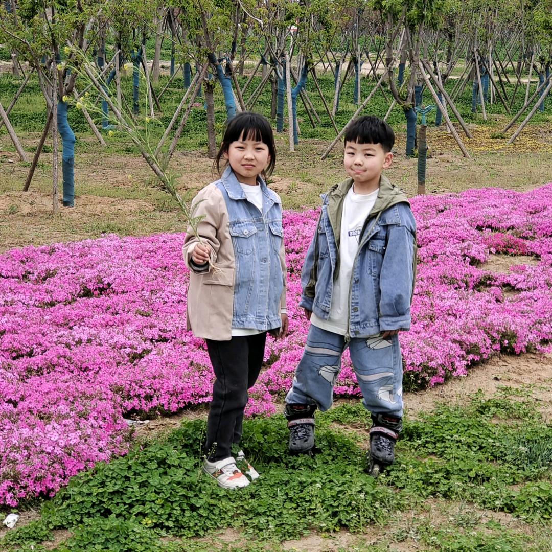 敬往事一杯酒，往事只能回忆。