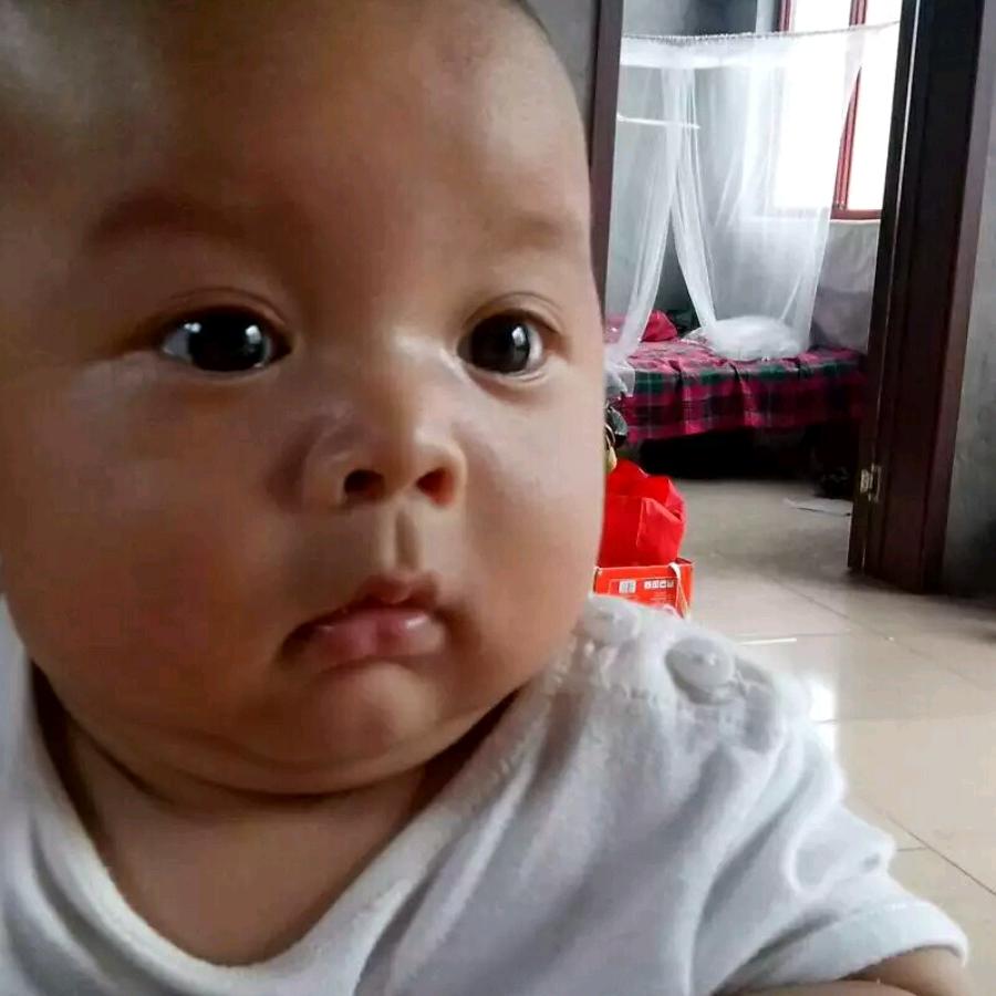 简简单单无忧无虑