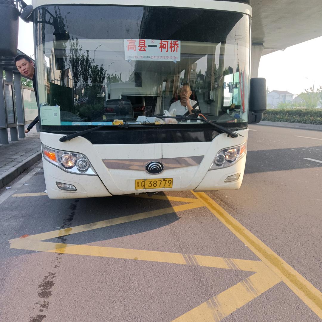 自由🦌自在