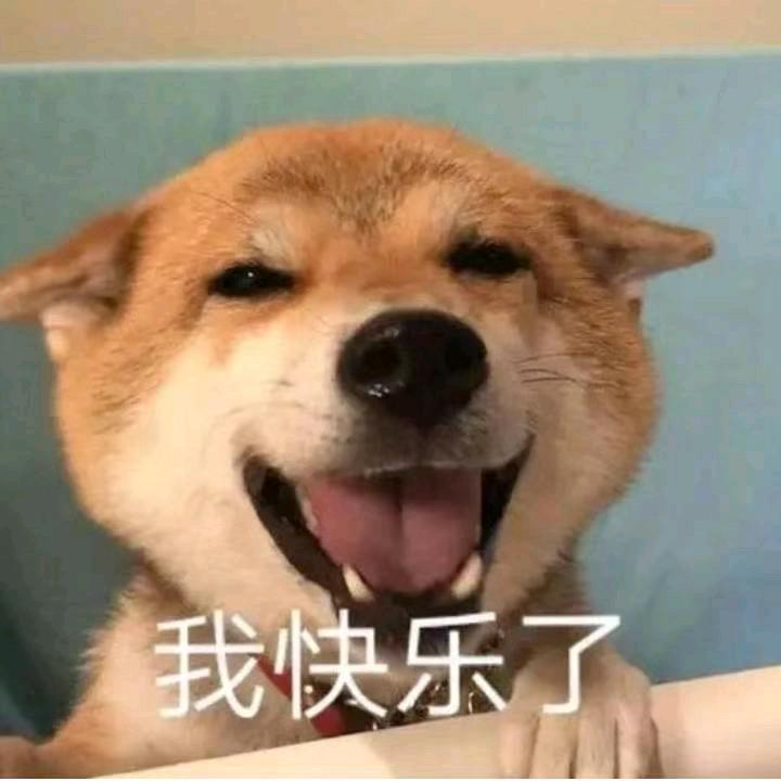 Bef_苦瓜不熬夜