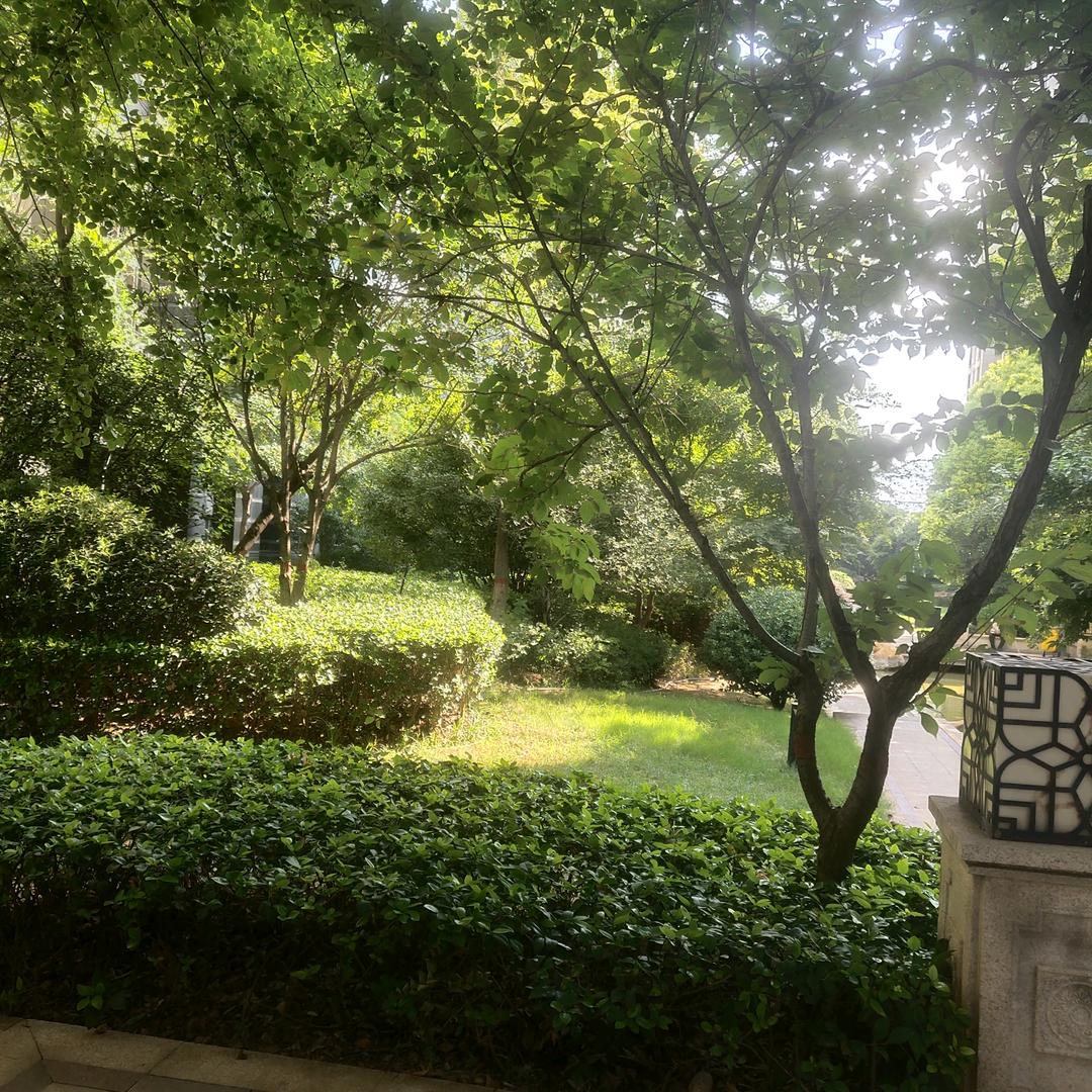 梦境
