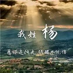 我叫振路