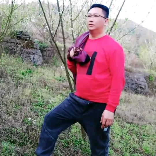 毅龍A
