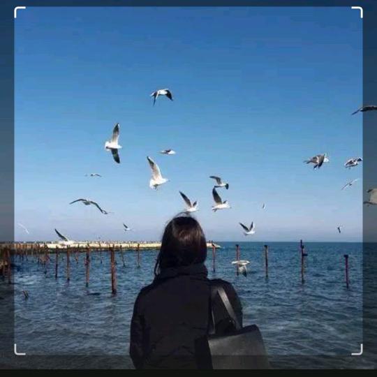小厨子喜宴楼