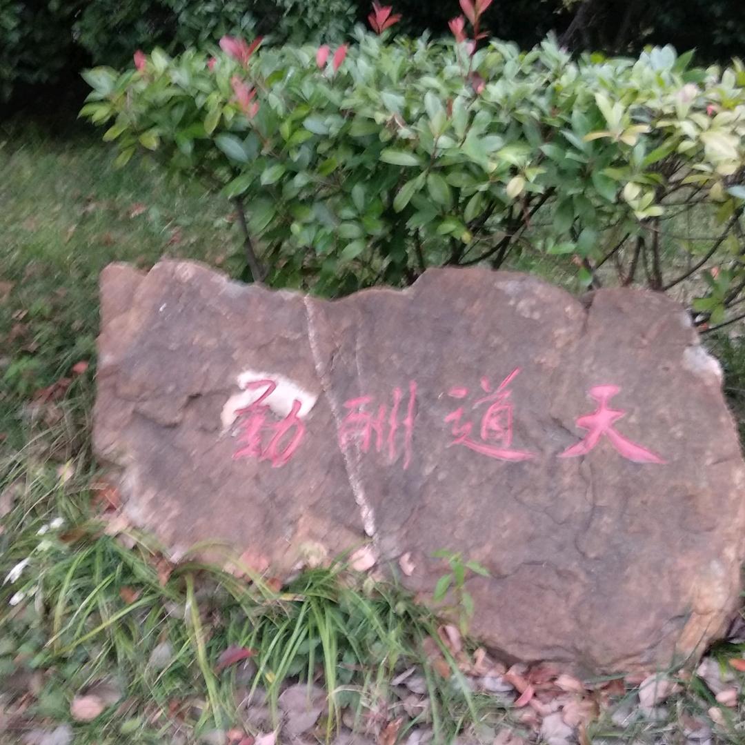 心体谐一（䰼）