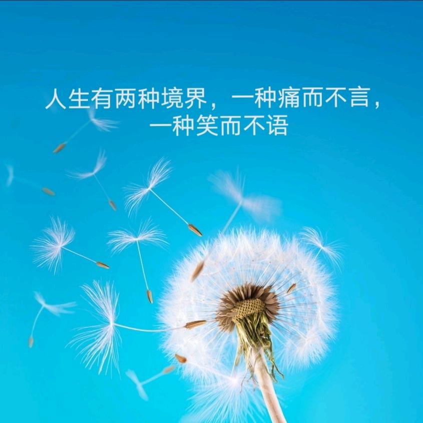 凡心一点