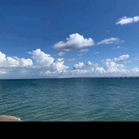 伊。。。兽医🎠🦍🦌🦓🐏🦆🦆