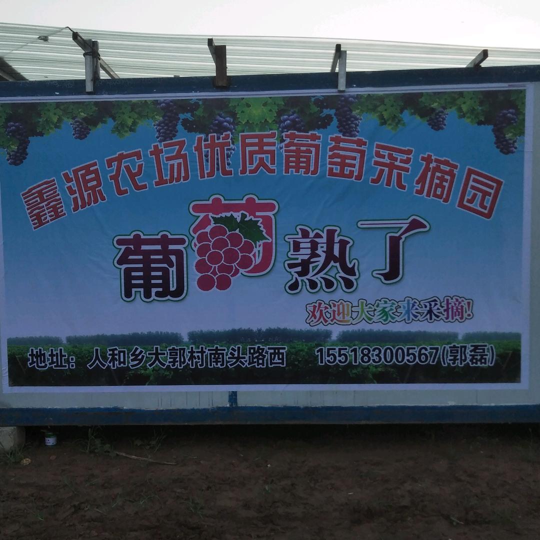 郭磊