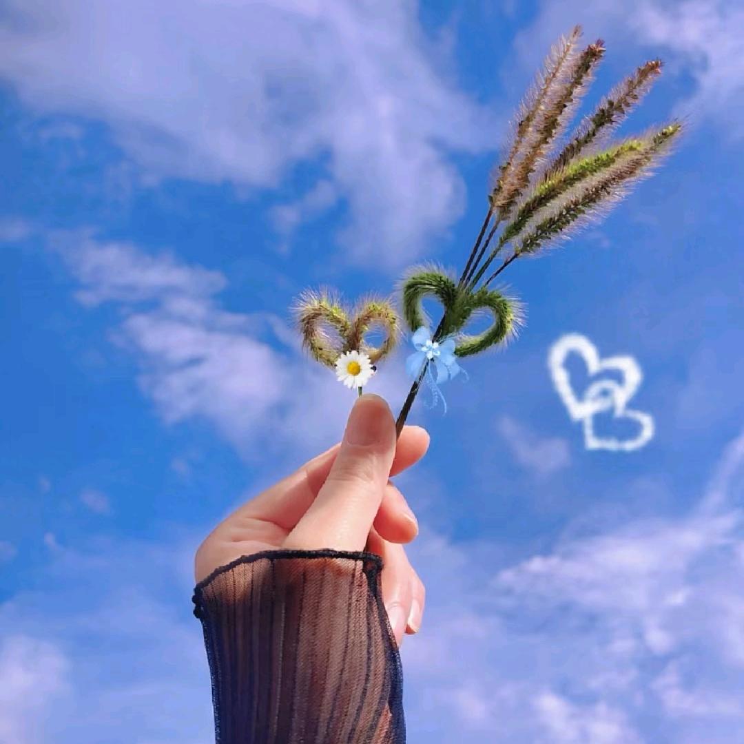 抬头看阳光😘  ～