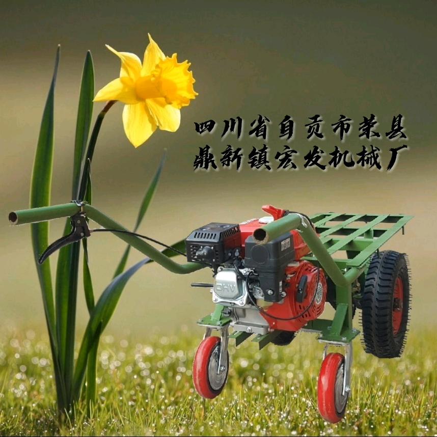 荣县鼎新镇宏发机械修理厂