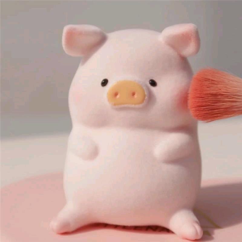 广西养猪小梅