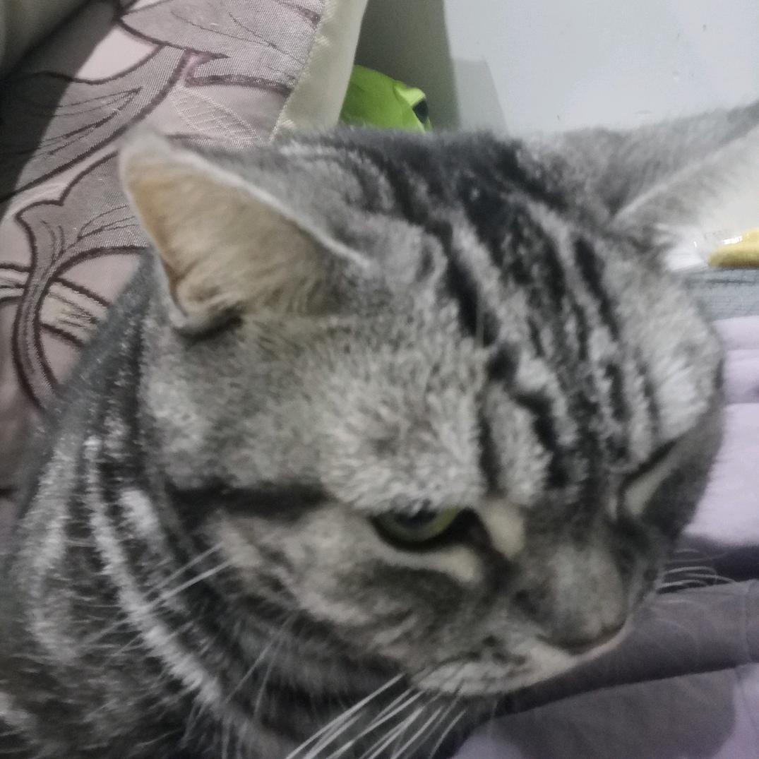 小庄同学继承父亲永劫号