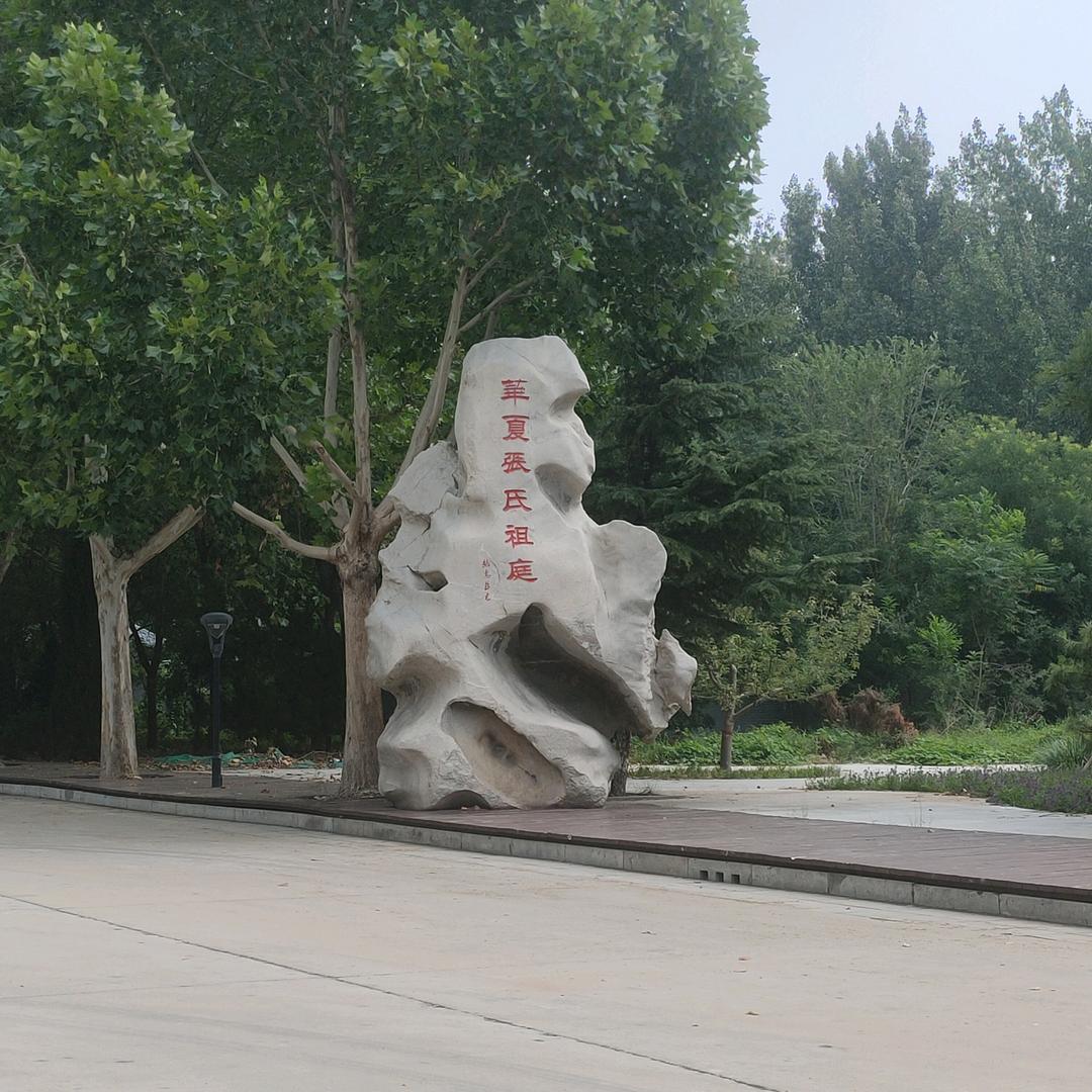 我姓张