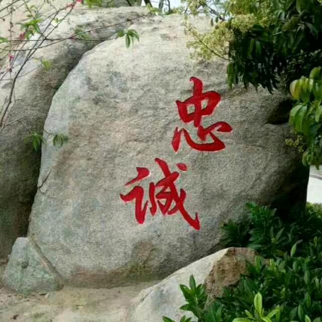 中華战士