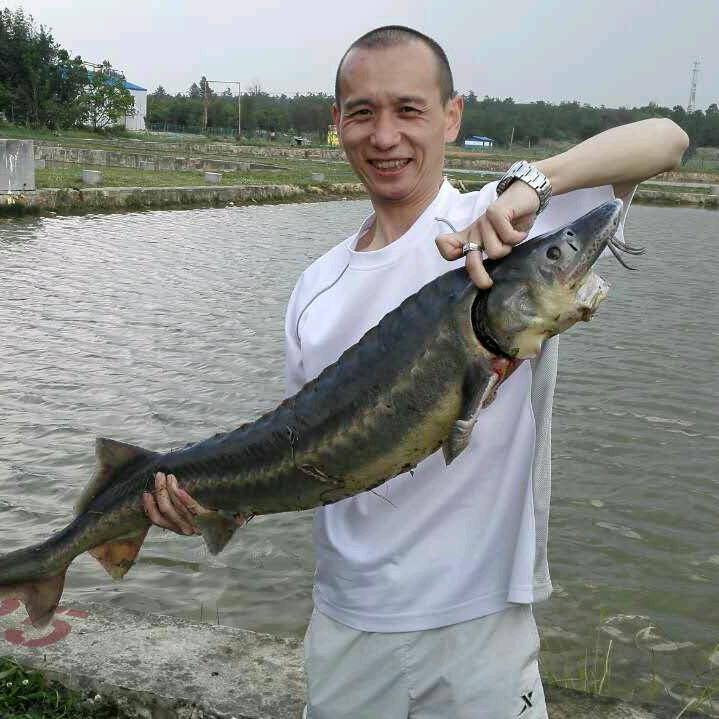 鹤啸九天
