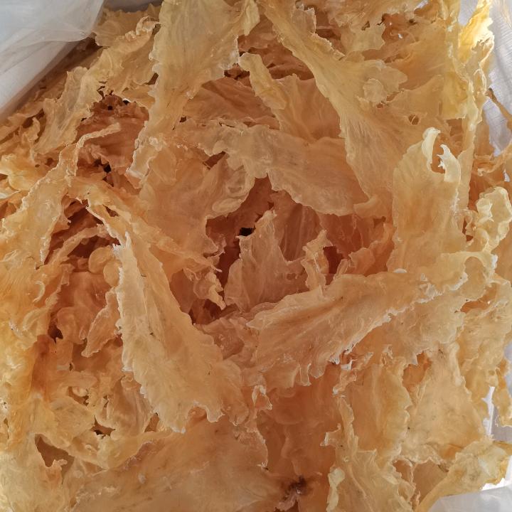 华盛渔港
