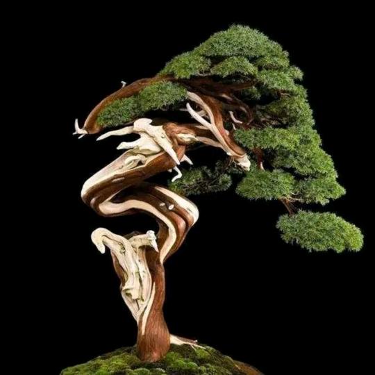 豫玖